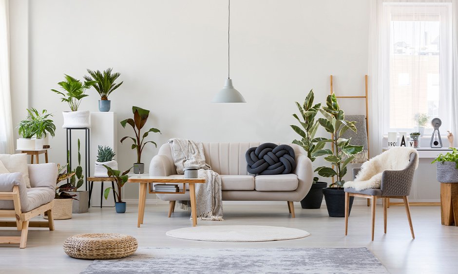 Indoor Furniture
